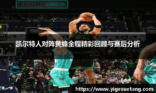 凯尔特人对阵黄蜂全程精彩回顾与赛后分析