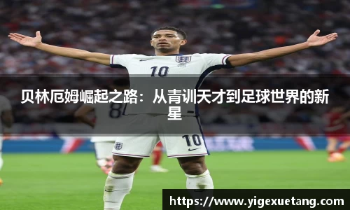 优游国际平台