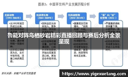 鲁能对阵鸟栖砂岩精彩直播回顾与赛后分析全景呈现
