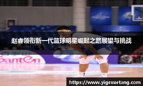赵睿领衔新一代篮球明星崛起之路展望与挑战