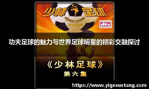 优游国际