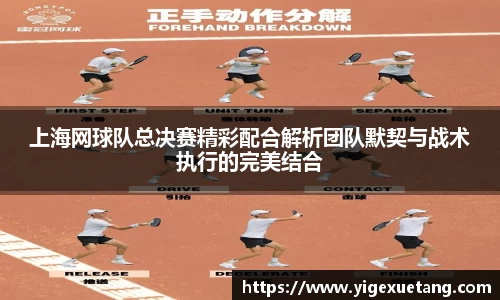 优游国际