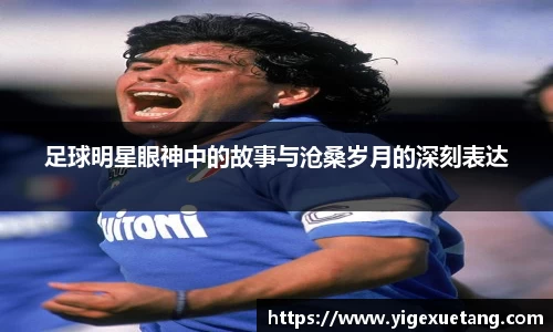 优游国际ub8